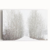 Black and white image of Aspen trees on large stretched canvas, suitable for kitchen wall art.