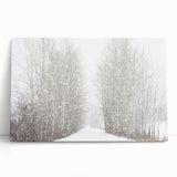 Black and white large canvas print of Aspen trees, ideal for kitchen or bedroom wall art.