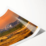 Extra large rolled print of line art flowers in monochrome, ideal for large living room wall art.