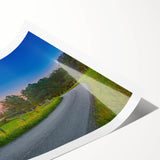 Extra large wall art featuring line art flowers in black and white on a rolled canvas, suitable for large living room decor.