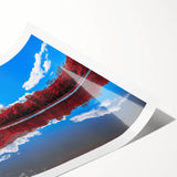 Extra large wall art featuring line art flowers in soft pastel shades on a rolled print, ideal for large living room decor.