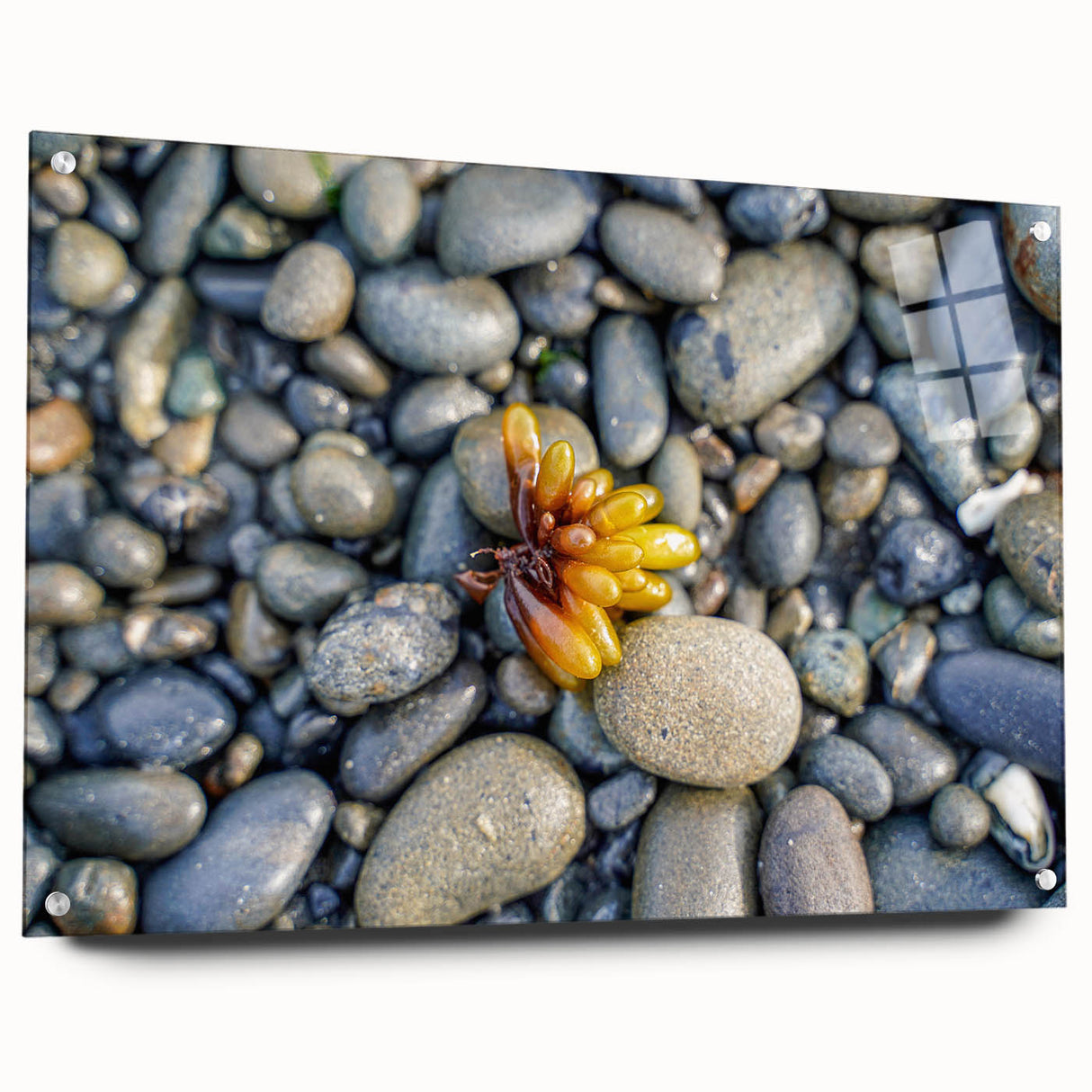 Acrylic print of abstract Olympic scenery in Washington, USA with muted earth tones, ideal for bedroom or dining room decor.