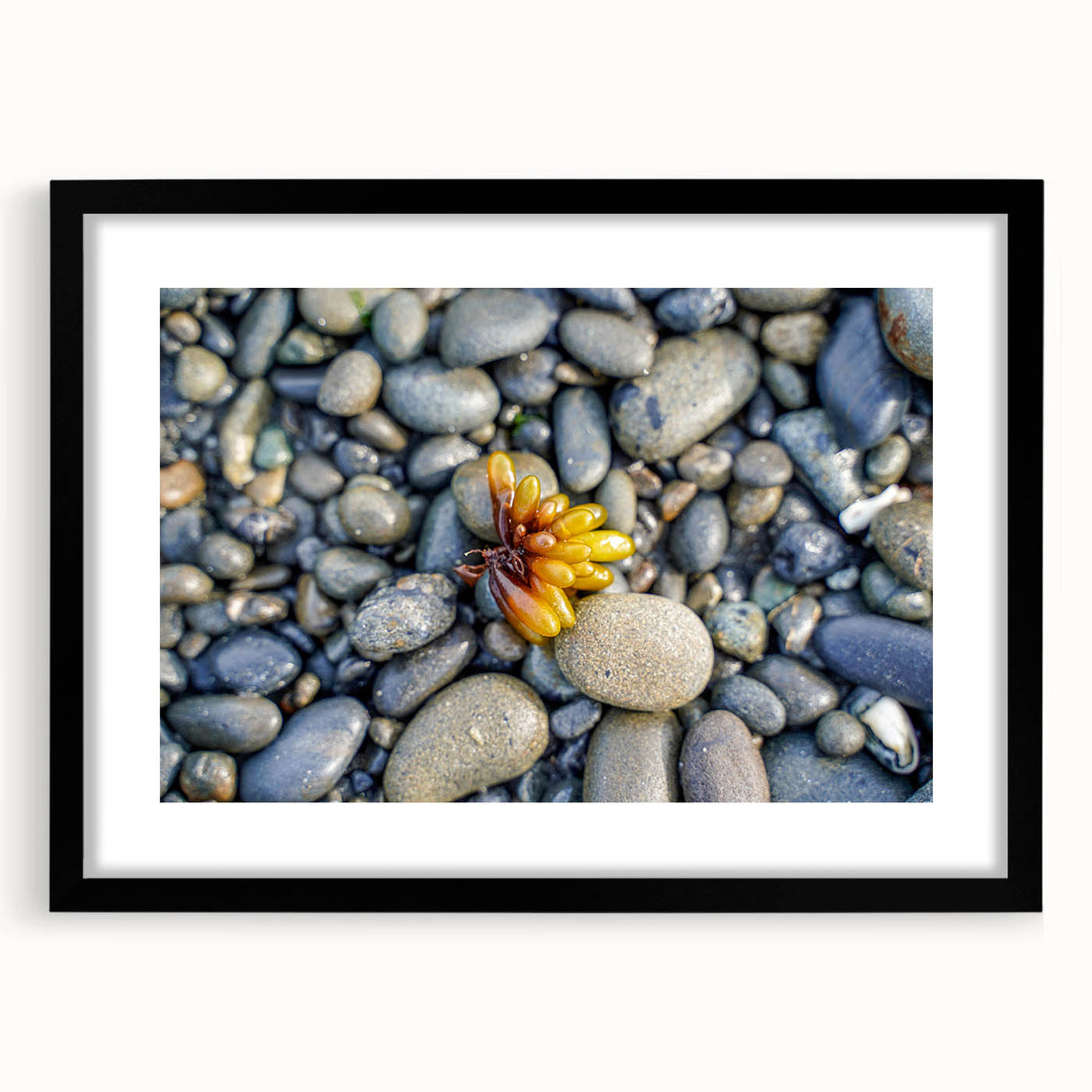 Extra large abstract art print of colorful, textured scenery of Olympic, Washington, on a black-framed canvas.