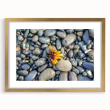 Extra large abstract art print of Olympic scenery in textured gold frame, ideal for living room decor.