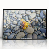 Large abstract wall art depicting Olympic National Park in muted earth tones on a framed acrylic.