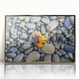 Framed acrylic print of Olympic National Park in muted earth tones, ideal for nursery wall art.