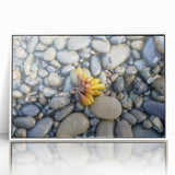 Art deco poster featuring Olympic National Park in muted earth tones on a white framed acrylic.