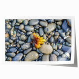 Olympic National Park scenery on rolled print featuring lush greenery and muted earth tones.