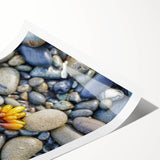 Extra large rolled print featuring line art flowers in muted earth tones, ideal for large living room wall decor.