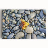 Black and white landscape print of Olympic National Park on stretched canvas, suitable for kitchen wall art.