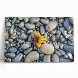 Black and white photograph of Olympic National Park on stretched canvas, suitable as large kitchen wall art.