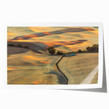Rolled print of the Palouse region in Washington, featuring a detailed landscape in earth tones.