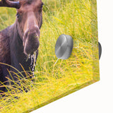 Mid-century modernist style large art print of the Grand Tetons in pastel shades on acrylic glass, ideal for dining room art.