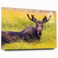Acrylic print of Grand Tetons scenery with vibrant green and mountain hues, ideal for dining room art.