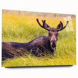Acrylic print of Grand Tetons landscape with soft blue and green colors, suited for bedroom or dining room decor.