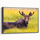 Black and white framed canvas of the Grand Tetons landscape, ideal for bedroom wall decor.