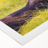 Art deco poster of Grand Tetons landscape in muted earth tones on rolled canvas, suitable for dining room wall art.