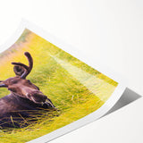 Extra large wall art featuring line art flowers with a scenic backdrop of Wyoming's Grand Tetons, in muted earth tones.