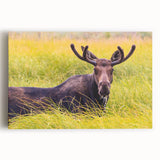 Black and white photograph of the Grand Tetons on stretched canvas, ideal for kitchen wall art.