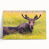 Black and white large art of the Grand Tetons on stretched canvas, ideal for kitchen wall art or bedroom decor.