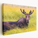 Grand Tetons landscape on large stretched canvas, featuring earthy green and blue tones, ideal for kitchen wall art.