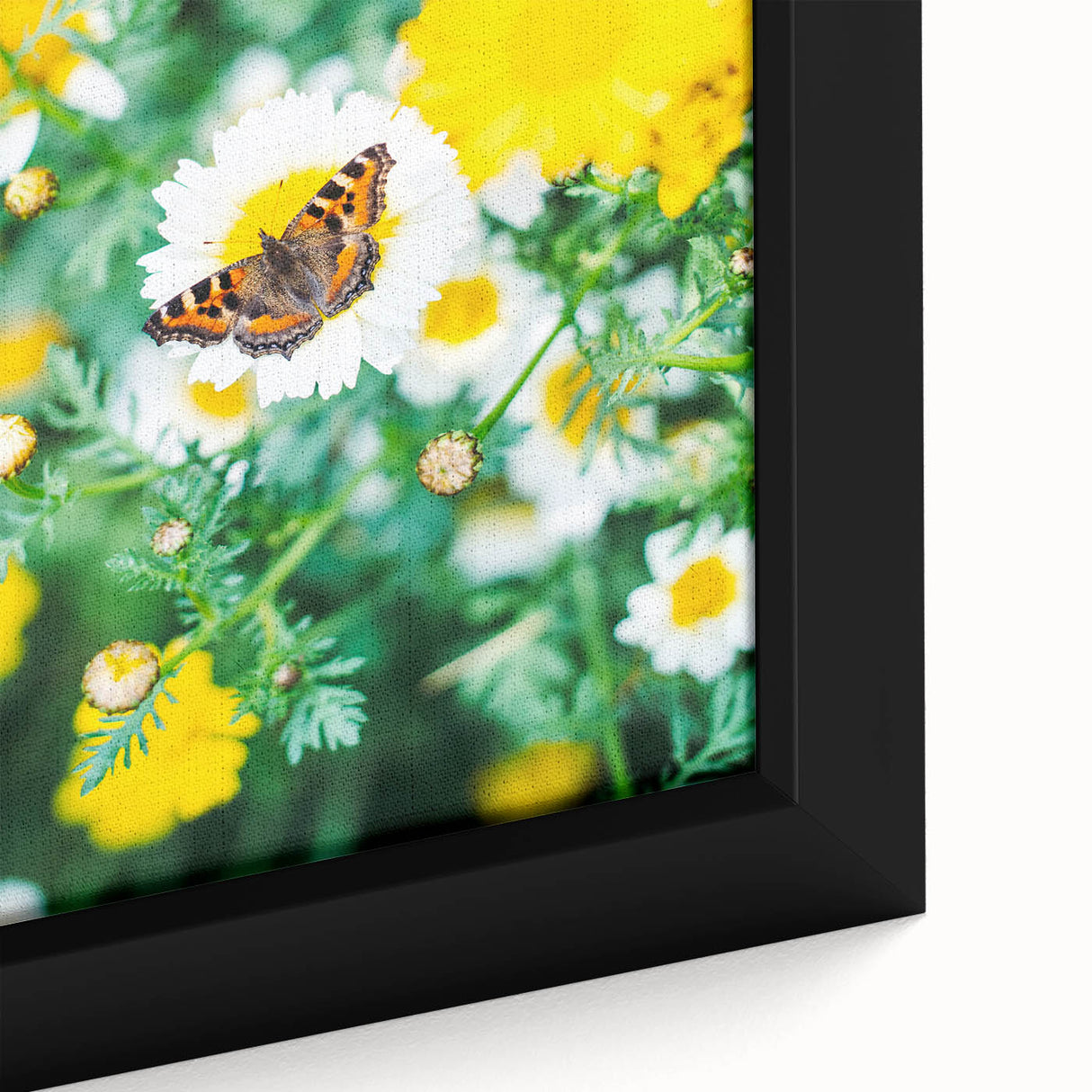 Extra large framed canvas depicting a textured, colorful abstract design on a black background, ideal for living room decor.