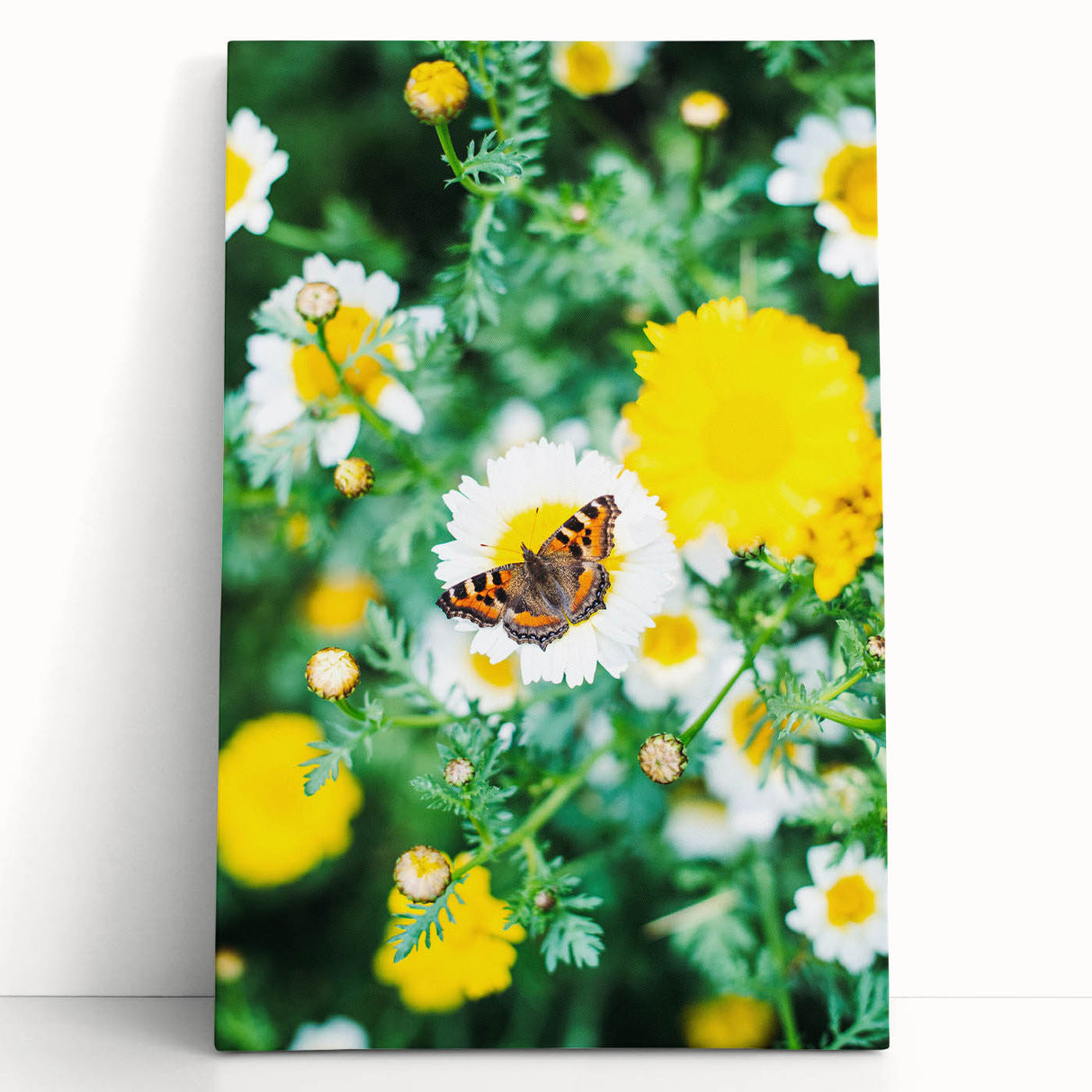 Large black and white stretched canvas featuring a minimalist spring scene, ideal for kitchen wall art or bedroom decor.