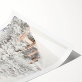 Extra large wall art featuring black and white line art flowers on a rolled print, ideal for large living room decor.