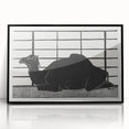 Abstract Camel Silhouette - Minimalist Modern Wall Art in Black & White