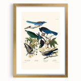 Realism Art Prints - Birds of America by John James Audubon Vintage Art