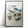 Realism Art Prints - Birds of America by John James Audubon Vintage Art
