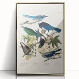 Realism Art Prints - Birds of America by John James Audubon Vintage Art