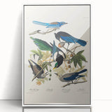Realism Art Prints - Birds of America by John James Audubon Vintage Art
