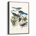 Realism Art Prints - Birds of America by John James Audubon Vintage Art