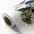 Realism Art Prints - Birds of America by John James Audubon Vintage Art