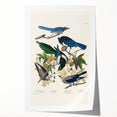 Realism Art Prints - Birds of America by John James Audubon Vintage Art