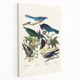 Realism Art Prints - Birds of America by John James Audubon Vintage Art