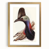 Australian Cassowary by Elizabeth Gould - Romantic Wildlife Art Print
