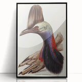 Australian Cassowary by Elizabeth Gould - Romantic Wildlife Art Print