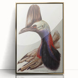Australian Cassowary by Elizabeth Gould - Romantic Wildlife Art Print