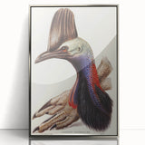 Australian Cassowary by Elizabeth Gould - Romantic Wildlife Art Print
