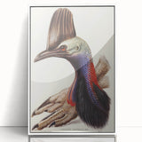 Australian Cassowary by Elizabeth Gould - Romantic Wildlife Art Print