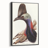 Australian Cassowary by Elizabeth Gould - Romantic Wildlife Art Print