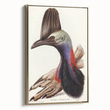 Australian Cassowary by Elizabeth Gould - Romantic Wildlife Art Print