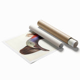 Australian Cassowary by Elizabeth Gould - Romantic Wildlife Art Print