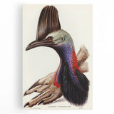 Australian Cassowary by Elizabeth Gould - Romantic Wildlife Art Print