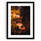 Extra large abstract art print featuring textured, colorful autumnal hues on a black framed canvas.