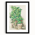 Impressionist Wall Art - Geraniums in Pots - Cezanne’s Botanical Art Print