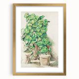 Impressionist Wall Art - Geraniums in Pots - Cezanne’s Botanical Art Print