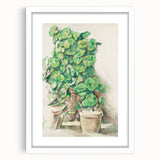 Impressionist Wall Art - Geraniums in Pots - Cezanne’s Botanical Art Print